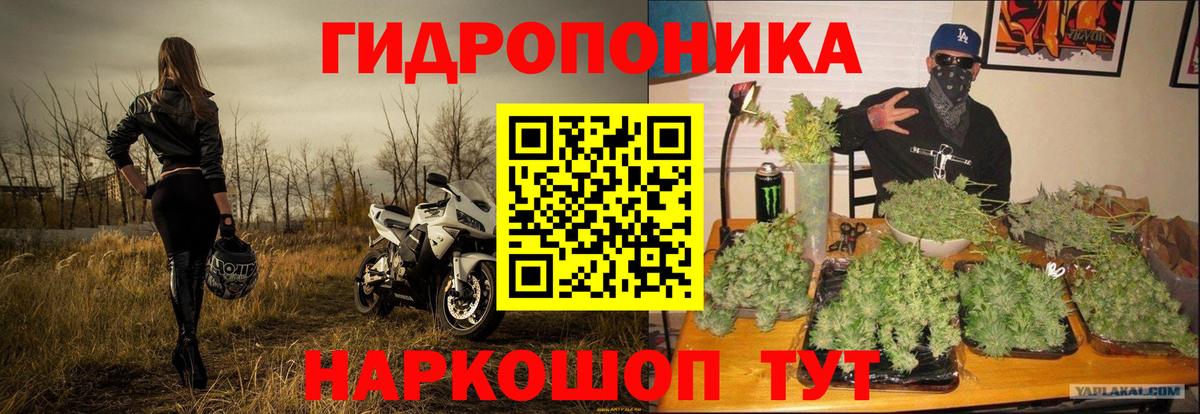 МАРИХУАНА индика Вольск