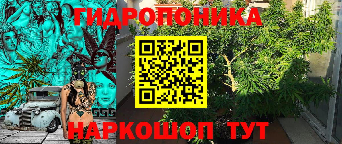 Вольск  МАРИХУАНА индика  Каннабис THC 21%  МАРИХУАНА план  Марихуана Bruce Banner  Вход с VPN 